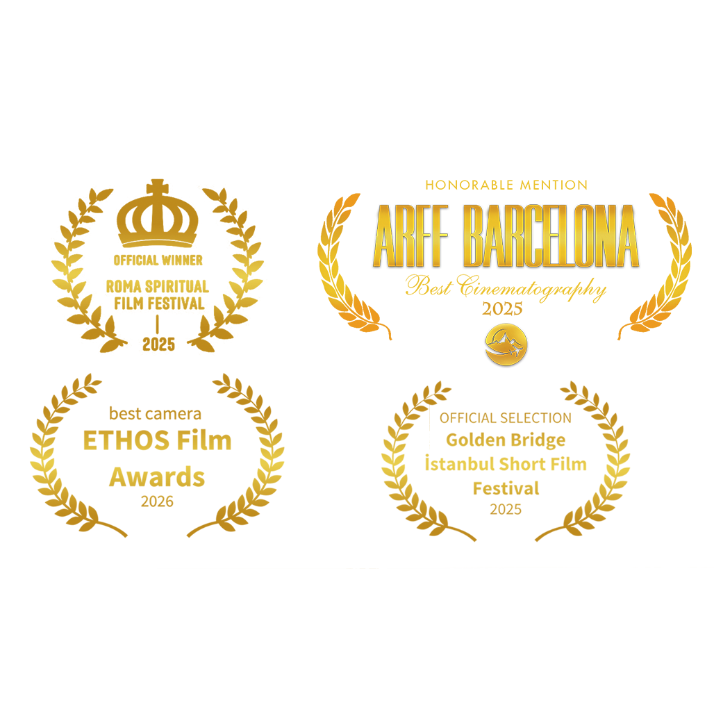 Film festival awards and cinematography selections
